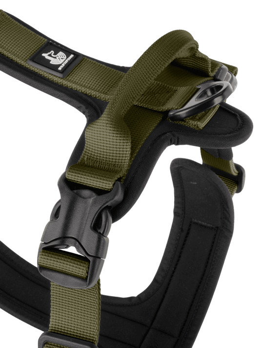 Arnés FreeWild 2.0 Green Forest WildTopDogs