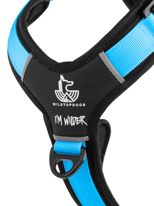 Arnés FreeWild 2.0 Glacier Blue WildTopDogs