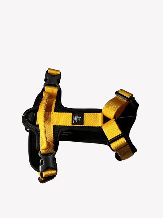 Desde Arriba Arnés FreeWild Yellow Mustard WildTopDogs
