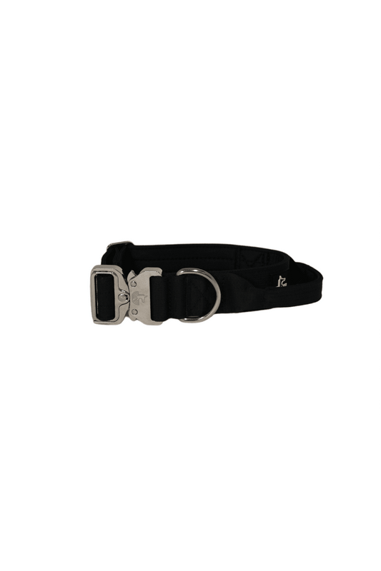 Enganche Collar BornWild Black Diamon WildTopDogs