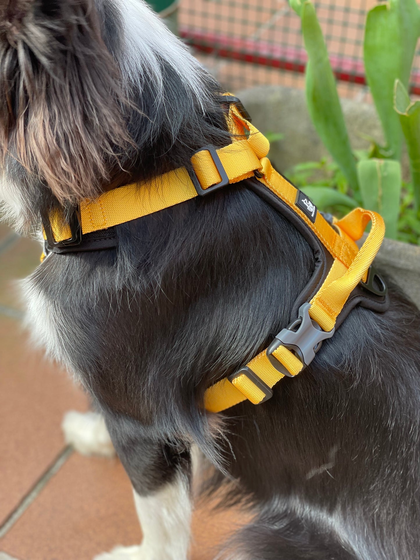 Ejemplo Perro 2 Arnés FreeWild Yellow Mustard WildTopDogs