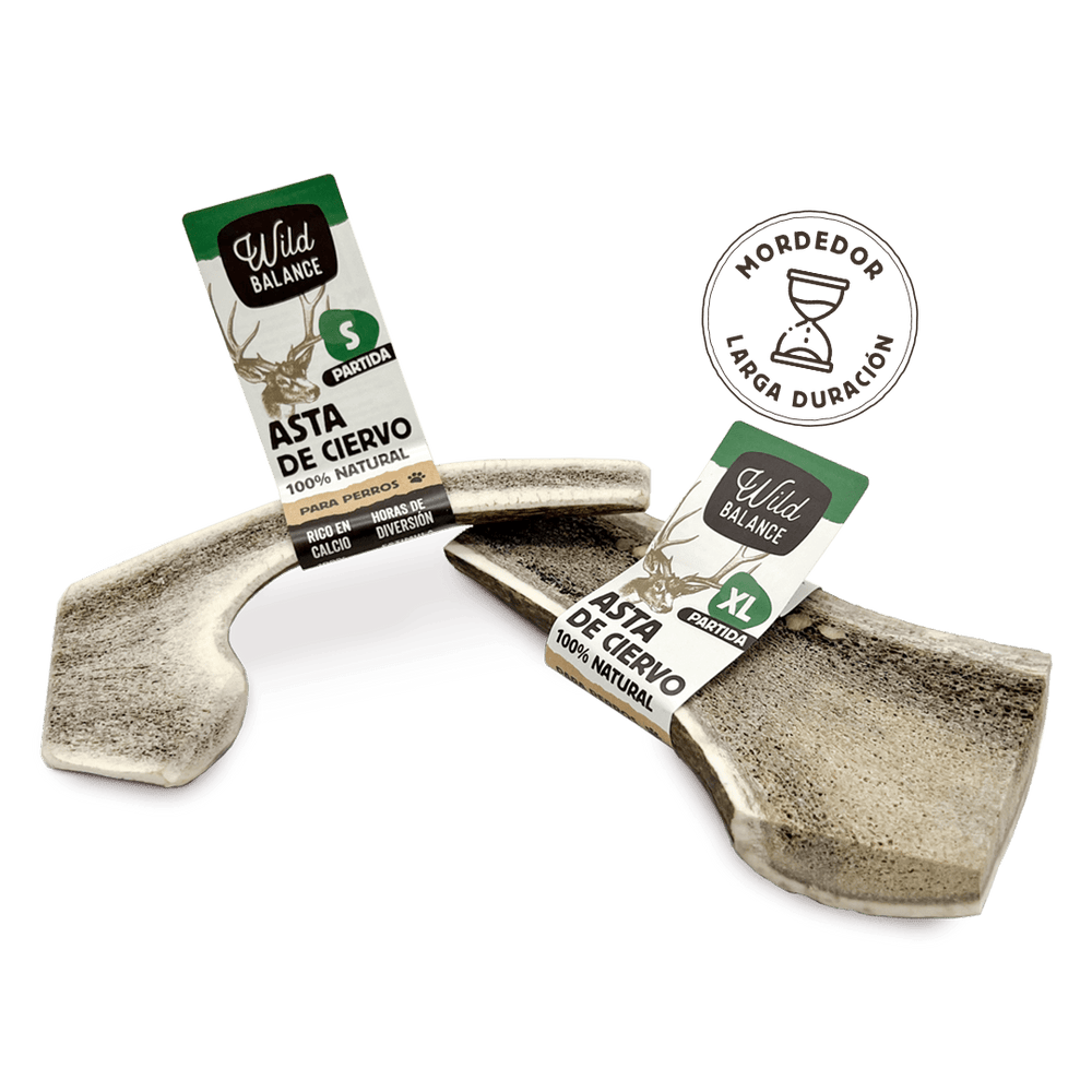 Asta de Ciervo Partida Wildbalance