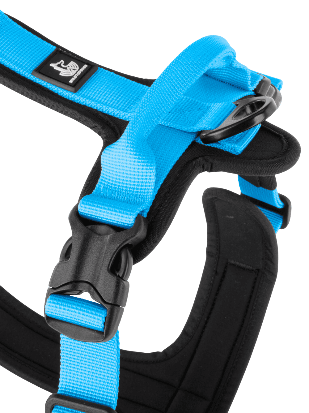 Arnés FreeWild 2.0 Glacier Blue WildTopDogs
