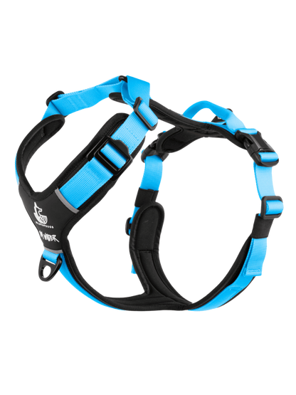 Arnés FreeWild 2.0 Glacier Blue WildTopDogs