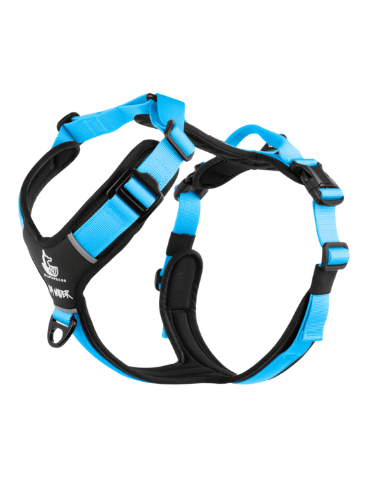 Arnés FreeWild 2.0 Glacier Blue WildTopDogs