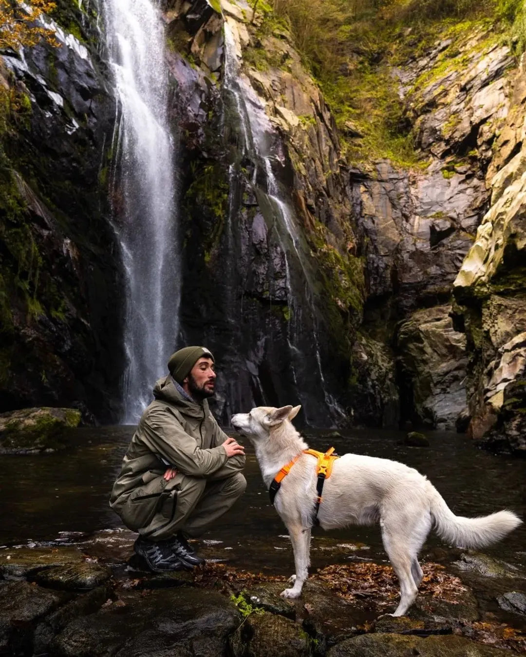 Arnés Ramble negro/naranja Non-stop dogwear