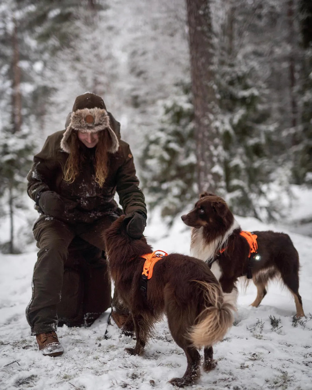 Arnés Ramble negro/naranja Non-stop dogwear